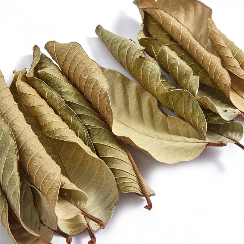 Guave Leaves
