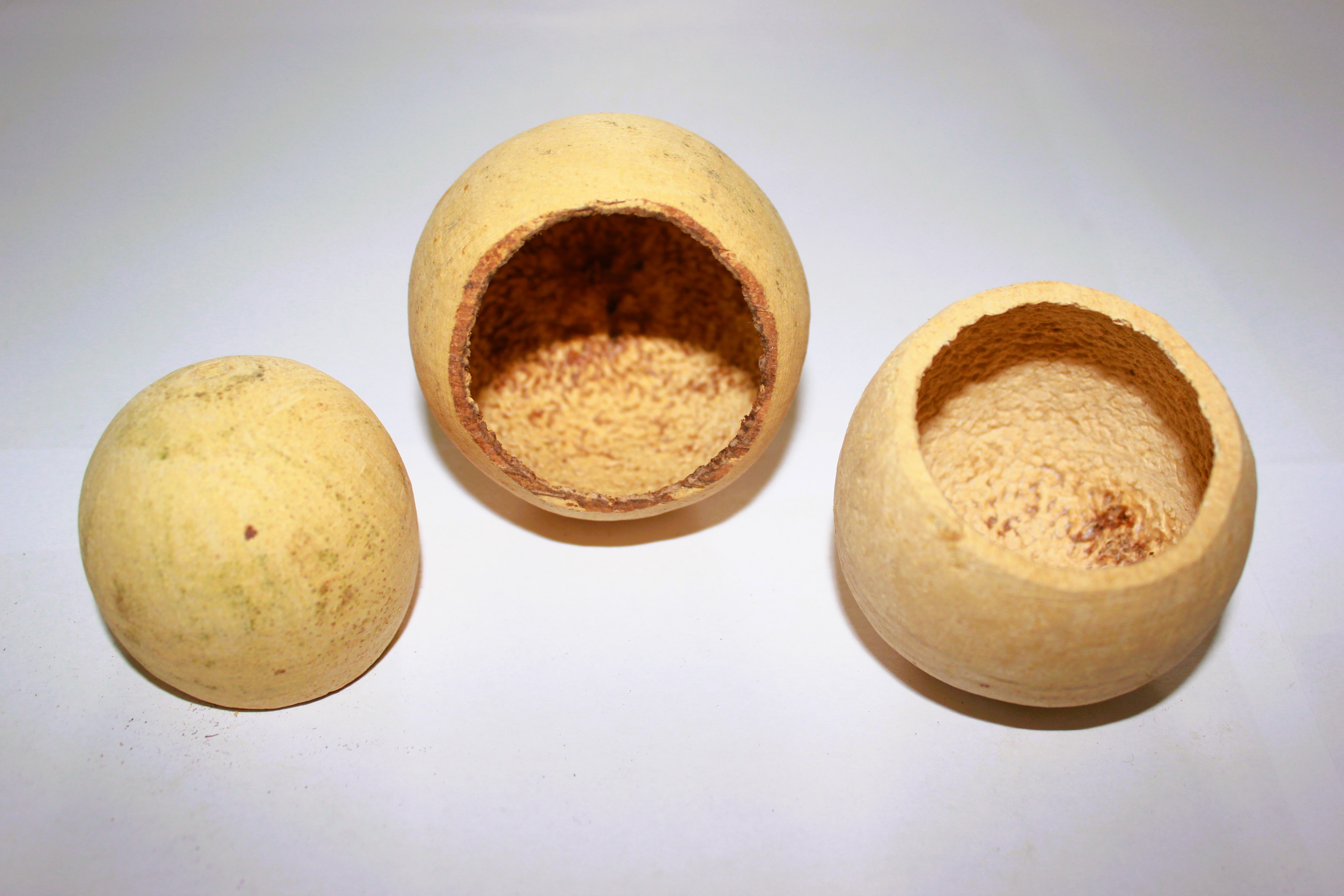 Bell Cup 4-7 CM