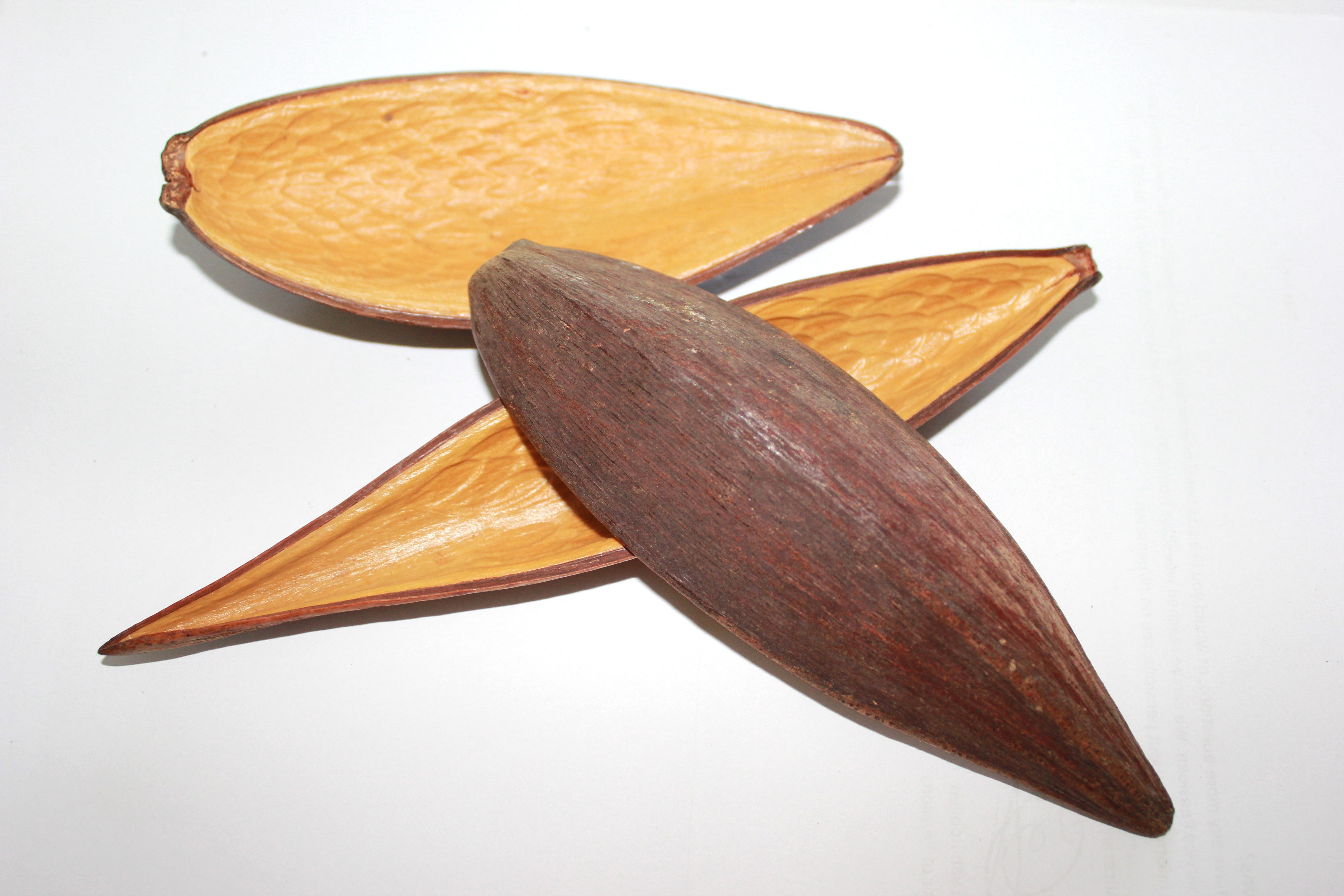 Canoinhas pod 10-14 cm