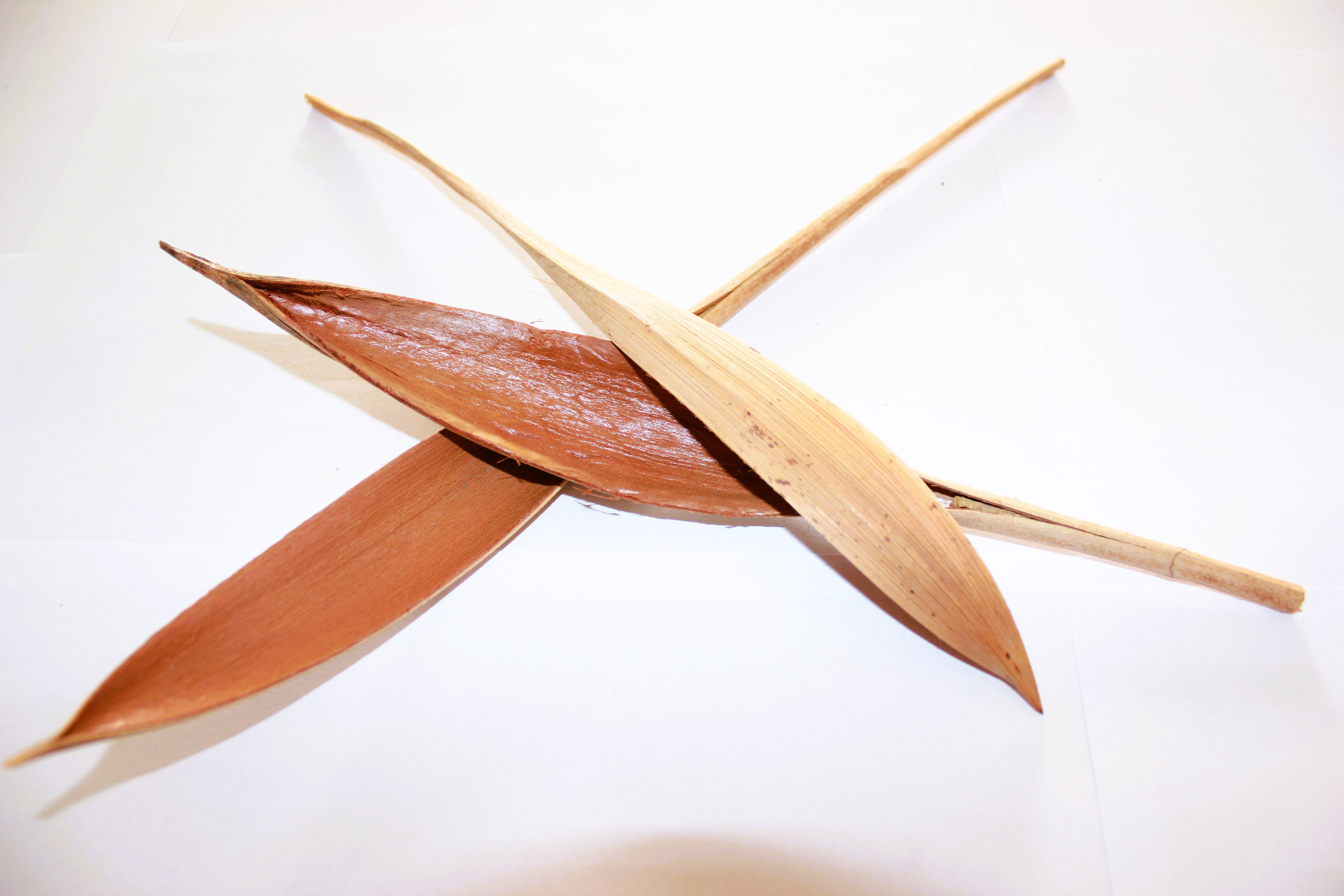 Palm boat 15-30 CM