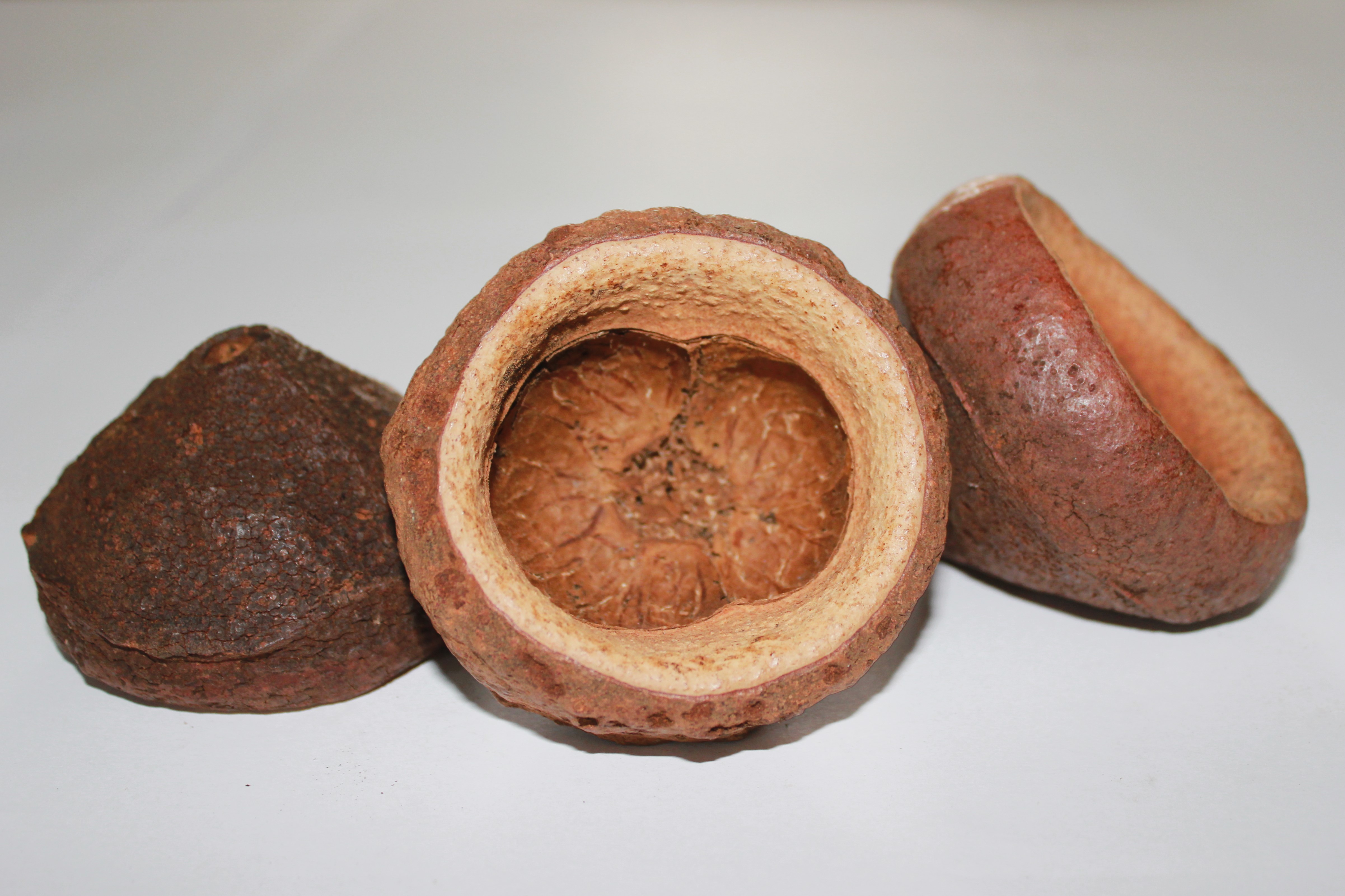 Chapeuzinho 4-10 CM